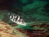 Placidochromis milomo Likoma Island