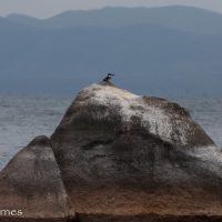 Maingano Island