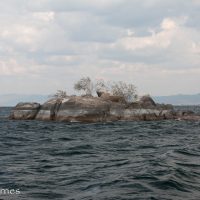Mbuzi Island